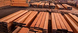 stocks at filtra timber trading